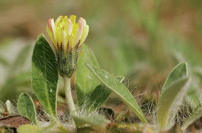 BUITEN BEELD Foto: 30708