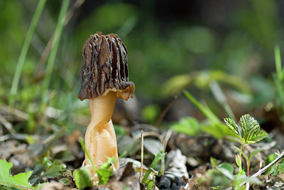 BUITEN BEELD Foto: 30830