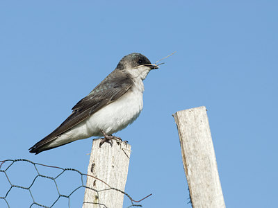 BUITEN BEELD Foto: 30841