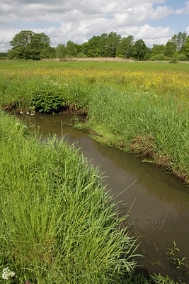 BUITEN BEELD Foto: 30872