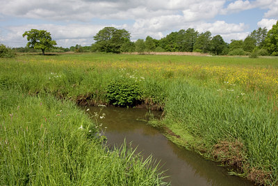 BUITEN BEELD Foto: 30873