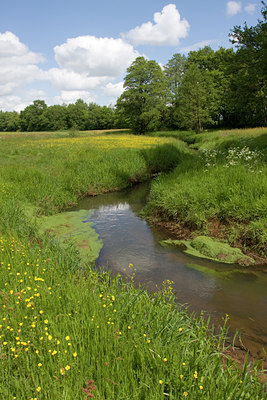 BUITEN BEELD Foto: 30881