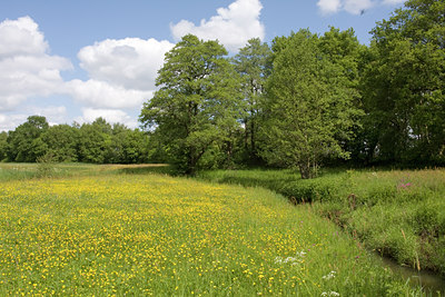 BUITEN BEELD Foto: 30882