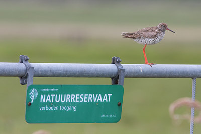 BUITEN BEELD Foto: 30926