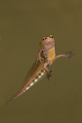 BUITEN BEELD Foto: 30979