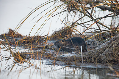 BUITEN BEELD Foto: 309014
