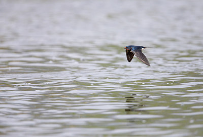 BUITEN BEELD Foto: 309054