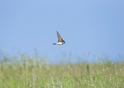 BUITEN BEELD Foto: 309058