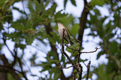 BUITEN BEELD Foto: 309064
