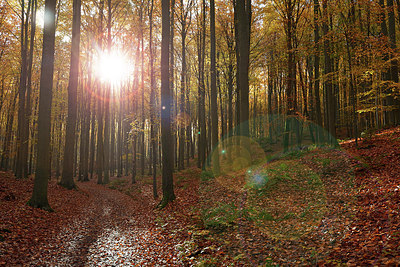 BUITEN BEELD Foto: 309120