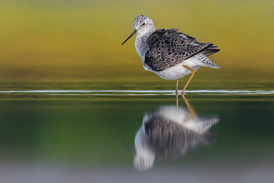 BUITEN BEELD Foto: 309281