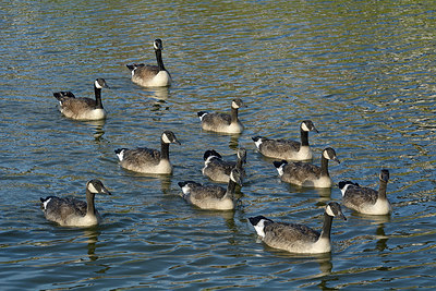 BUITEN BEELD Foto: 309550