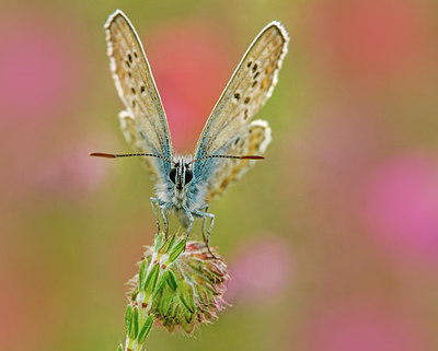 BUITEN BEELD Foto: 309624
