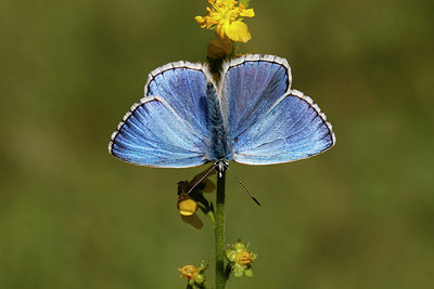 BUITEN BEELD Foto: 309647