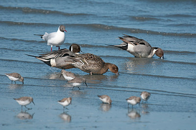 BUITEN BEELD Foto: 309676