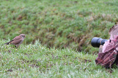 BUITEN BEELD Foto: 309740