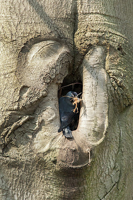 BUITEN BEELD Foto: 309800