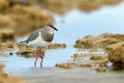 BUITEN BEELD Foto: 309806