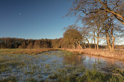 BUITEN BEELD Foto: 309811