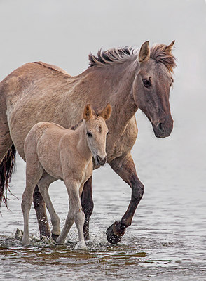 BUITEN BEELD Foto: 309820