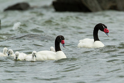 BUITEN BEELD Foto: 309840