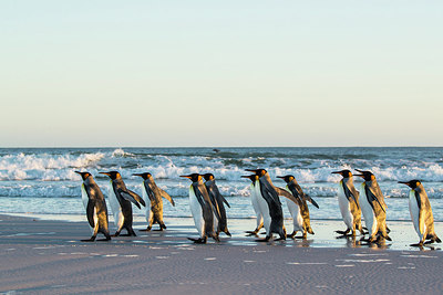 BUITEN BEELD Foto: 309931