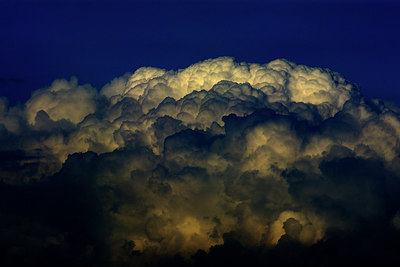 BUITEN BEELD Foto: 309977