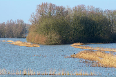 BUITEN BEELD Foto: 309983