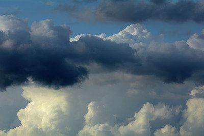 BUITEN BEELD Foto: 310005