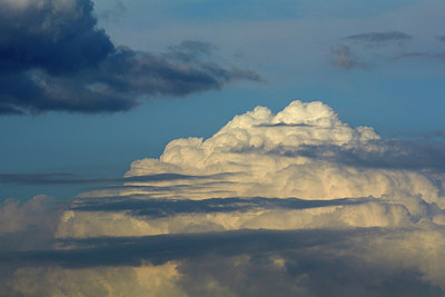 BUITEN BEELD Foto: 310006