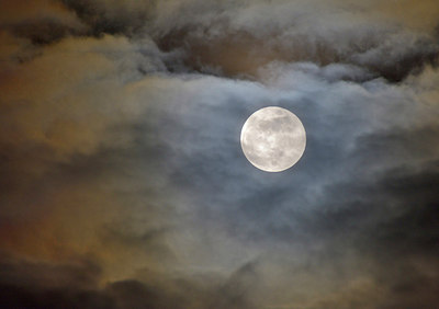 BUITEN BEELD Foto: 310008