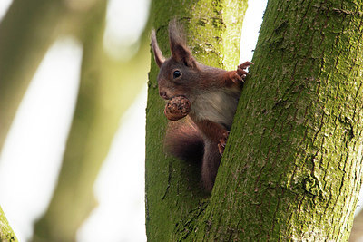 BUITEN BEELD Foto: 310017
