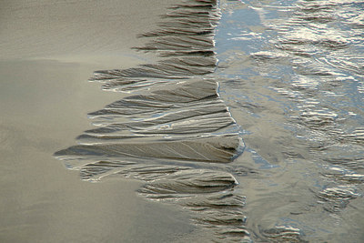 BUITEN BEELD Foto: 310026