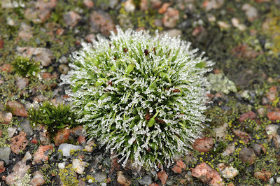 BUITEN BEELD Foto: 310081