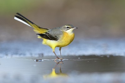 BUITEN BEELD Foto: 310230