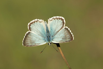 BUITEN BEELD Foto: 310309