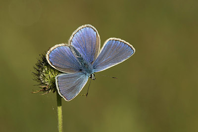 BUITEN BEELD Foto: 310311