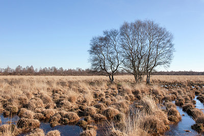 BUITEN BEELD Foto: 310360