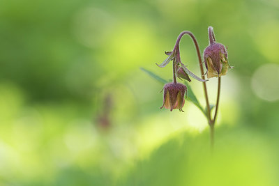 BUITEN BEELD Foto: 310383