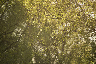 BUITEN BEELD Foto: 310401