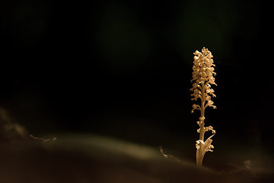 BUITEN BEELD Foto: 310413