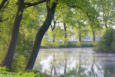 BUITEN BEELD Foto: 310433