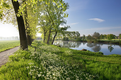 BUITEN BEELD Foto: 310434