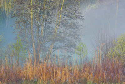 BUITEN BEELD Foto: 310441