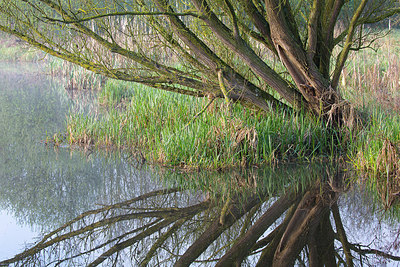 BUITEN BEELD Foto: 310442