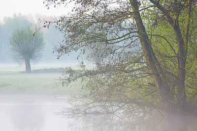 BUITEN BEELD Foto: 310443
