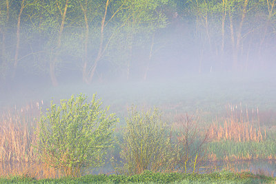 BUITEN BEELD Foto: 310445