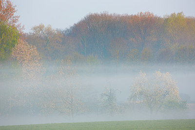 BUITEN BEELD Foto: 310448