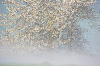 BUITEN BEELD Foto: 310449