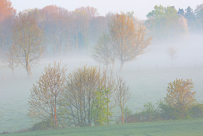 BUITEN BEELD Foto: 310453